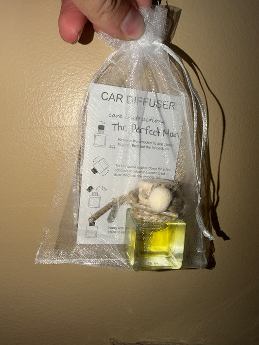 Car Hanging Diffuser